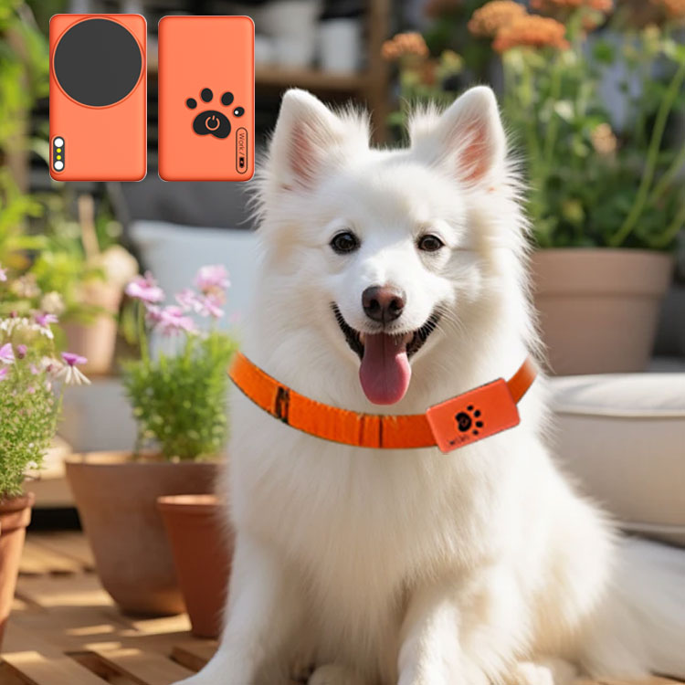 AI Wearable Pet Health Monitor - Breath Rate Monitor review and price